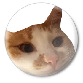Значок с принтом The shusha What? в Белгороде,  металл | круглая форма, металлическая застежка в виде булавки | Тематика изображения на принте: cat | shusha | what | кошка | что