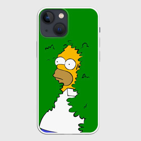 Чехол для iPhone 13 mini с принтом Мем с Гомером в Белгороде,  |  | gomer | mem | simpsons | the simpson | гомер | мем | мемы | мульт | мультфильм | симпсоны
