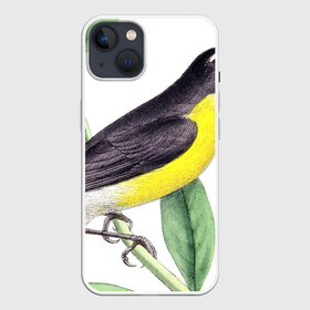 Чехол для iPhone 13 с принтом Птица в Белгороде,  |  | animal | animals | bird | birds | black | blue | colorful | cool | crow | cute | forest | fun | funny | green | mountains | music | nature | pat | pink | raven | retro | tree | vintage | wildlife | yellow | ветка | желтый | животные | листья | природа | п