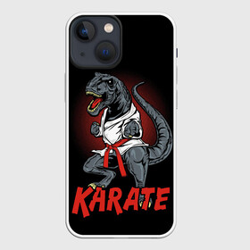 Чехол для iPhone 13 mini с принтом KARATE T REX в Белгороде,  |  | animal | dinosaur | fight | fighter | hunter | karate | red | sport | strong | t rex | боец | бои | динозавр | карате | сила | спорт | тиранозавр | хищник