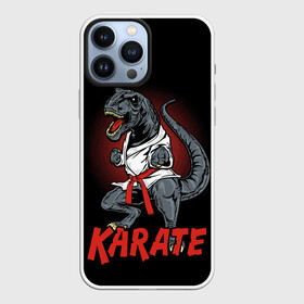 Чехол для iPhone 13 Pro Max с принтом KARATE T REX в Белгороде,  |  | animal | dinosaur | fight | fighter | hunter | karate | red | sport | strong | t rex | боец | бои | динозавр | карате | сила | спорт | тиранозавр | хищник