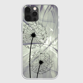 Чехол для iPhone 12 Pro с принтом Одуванчики в Белгороде, силикон | область печати: задняя сторона чехла, без боковых панелей | волны | мятое | одуванчик | одуванчики | пух | серый фон | цветок