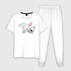 Мужская пижама хлопок с принтом Французский бульдог в Белгороде, 100% хлопок | брюки и футболка прямого кроя, без карманов, на брюках мягкая резинка на поясе и по низу штанин
 | animals | baby | bulldog | cute | dog | dreams | french bulldog | pet | puppy | белая собака | бульдог | бульдожка | домашнее животное | животные | лежать | лень | малыш | не сегодня | отдых | пес | песик | питомец | собака | собачка