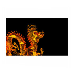 Бумага для упаковки 3D с принтом Золотой китайский дракон в Белгороде, пластик и полированная сталь | круглая форма, металлическое крепление в виде кольца | азиатский дракон | дракон | золотой | золотой азиатский дракон | золотой дракон | золотой китайский дракон | золотой японский дракон | китайский дракон | японский дракон