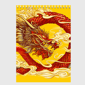 Скетчбук с принтом Китайский Дракон, China Dragon в Белгороде, 100% бумага
 | 48 листов, плотность листов — 100 г/м2, плотность картонной обложки — 250 г/м2. Листы скреплены сверху удобной пружинной спиралью | chinese dragon | dhina dragon | dragon | азиатский дракон | восточный дракон | дракон | китайские драконы | китайский дракон | красный дракон | традиционный китайский дракон | японский дракон