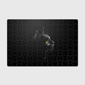 Головоломка Пазл магнитный 126 элементов с принтом Черный кот в Белгороде, полимерный материал с магнитным слоем | 126 деталей, размер изделия —  180*270 мм | взгляд | глаза | киса | киска | кот | котик | котяра | профиль | пушистый | усы