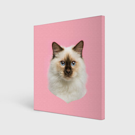 Холст квадратный с принтом Пушистый кот в Белгороде, 100% ПВХ |  | белоснежный | взгляд | глаза | голубоглазый | киса | киска | кот | котик | котяра | профиль | пушистый | усы | уши