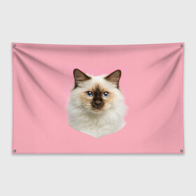 Флаг-баннер с принтом Пушистый кот в Белгороде, 100% полиэстер | размер 67 х 109 см, плотность ткани — 95 г/м2; по краям флага есть четыре люверса для крепления | белоснежный | взгляд | глаза | голубоглазый | киса | киска | кот | котик | котяра | профиль | пушистый | усы | уши