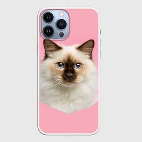 Чехол для iPhone 13 Pro Max с принтом Пушистый кот в Белгороде,  |  | Тематика изображения на принте: белоснежный | взгляд | глаза | голубоглазый | киса | киска | кот | котик | котяра | профиль | пушистый | усы | уши