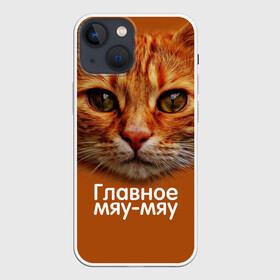 Чехол для iPhone 13 mini с принтом ГЛАВНОЕ МЯУ МЯУ в Белгороде,  |  | главное мяу мяу | животные | кот | кошка | мордочка | мяу | рыжий