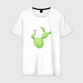Мужская футболка хлопок с принтом Кактус в Белгороде, 100% хлопок | прямой крой, круглый вырез горловины, длина до линии бедер, слегка спущенное плечо. | акварель | кактус | природа | растение | рисунок