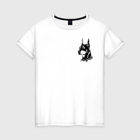 Женская футболка хлопок с принтом Doberman в Белгороде, 100% хлопок | прямой крой, круглый вырез горловины, длина до линии бедер, слегка спущенное плечо | dog | streetwear | доберман | ошейник | собака