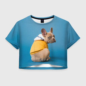 Женская футболка Crop-top 3D с принтом Собачка на стиле в Белгороде, 100% полиэстер | круглая горловина, длина футболки до линии талии, рукава с отворотами | dog | модель | песик | позирует | собака | фотосессия