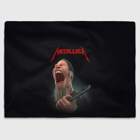 Плед 3D с принтом James Alan Hetfield | METALLICA (Z) в Белгороде, 100% полиэстер | закругленные углы, все края обработаны. Ткань не мнется и не растягивается | james alan hetfield | kurt kobein | metallica | rock | джеймс хэтфилд | курт кобейн | металика | металлика | рок | супер звезда