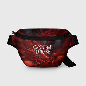 Поясная сумка 3D с принтом Blood Cannibal Corpse | Труп Каннибала (Z) в Белгороде, 100% полиэстер | плотная ткань, ремень с регулируемой длиной, внутри несколько карманов для мелочей, основное отделение и карман с обратной стороны сумки застегиваются на молнию | cannibal | cannibal corpse | corpse | death metal | deathgrind | алекс уэбстер | брутальный дэт метал | дэт метал | дэтграйнд | пол мазуркевич | роб барретт | труп каннибала