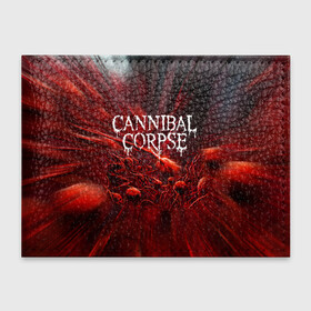 Обложка для студенческого билета с принтом Blood Cannibal Corpse | Труп Каннибала (Z) в Белгороде, натуральная кожа | Размер: 11*8 см; Печать на всей внешней стороне | Тематика изображения на принте: cannibal | cannibal corpse | corpse | death metal | deathgrind | алекс уэбстер | брутальный дэт метал | дэт метал | дэтграйнд | пол мазуркевич | роб барретт | труп каннибала