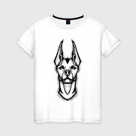 Женская футболка хлопок с принтом Доберман в Белгороде, 100% хлопок | прямой крой, круглый вырез горловины, длина до линии бедер, слегка спущенное плечо | doberman | dog | бойцовская | доберман | собака | собаки