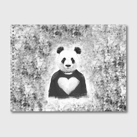 Альбом для рисования с принтом Панда Любовь Сердце Меланж  в Белгороде, 100% бумага
 | матовая бумага, плотность 200 мг. | animals | beast | panda | глаза | животные | звери | краски | любовь | меланж | милые | панда | пятна | растения | сердце | серый | цветы | чб | эвкалипт