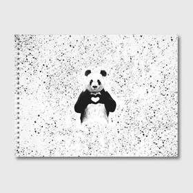 Альбом для рисования с принтом Панда Любовь Сердце Брызги в Белгороде, 100% бумага
 | матовая бумага, плотность 200 мг. | Тематика изображения на принте: animals | beast | panda | брызги | глаза | животные | звери | краски | любовь | милые | панда | пятна | растения | сердце | серый | точки | цветы | чб | эвкалипт