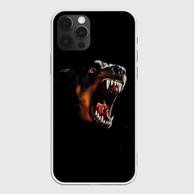 Чехол для iPhone 12 Pro Max с принтом РОТВЕЙЛЕР в Белгороде, Силикон |  | Тематика изображения на принте: animal | dog | evil | fury | домашние | животные | звери | злой | зубы | клыки | пасть | пес | ротвейлер | собака | ярость