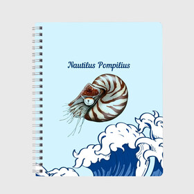 Тетрадь с принтом Nautilus Pompilius океан в Белгороде, 100% бумага | 48 листов, плотность листов — 60 г/м2, плотность картонной обложки — 250 г/м2. Листы скреплены сбоку удобной пружинной спиралью. Уголки страниц и обложки скругленные. Цвет линий — светло-серый
 | Тематика изображения на принте: nau | nautilus pompilius | альбом | ассоциация | внуки энгельса | вячеслав бутусов | группа | настя | нау | наутилус | наутилус помпилиус | наутилусы | нп | рок | русский | советский | урфин джюс | ю питер