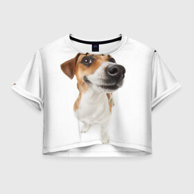 Женская футболка Crop-top 3D с принтом Собака в Белгороде, 100% полиэстер | круглая горловина, длина футболки до линии талии, рукава с отворотами | dog | джек | джек рассел | джек рассел терьер | дог | домашние животные | рассел | рассел терьер | собака | собаки | терьер