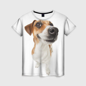 Женская футболка 3D с принтом Собака в Белгороде, 100% полиэфир ( синтетическое хлопкоподобное полотно) | прямой крой, круглый вырез горловины, длина до линии бедер | dog | джек | джек рассел | джек рассел терьер | дог | домашние животные | рассел | рассел терьер | собака | собаки | терьер