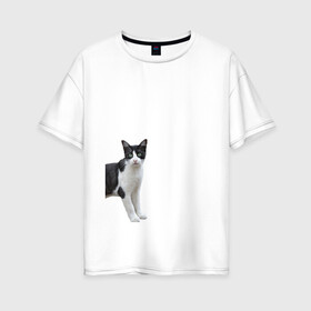 Женская футболка хлопок Oversize с принтом смотрящая кошка в Белгороде, 100% хлопок | свободный крой, круглый ворот, спущенный рукав, длина до линии бедер
 | голова | домашнее животное | животное | зверь | кот | котёнок | кошка
