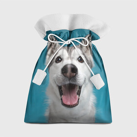 Подарочный 3D мешок с принтом Хаски в Белгороде, 100% полиэстер | Размер: 29*39 см | dog | дог | домашние животные | звери | сибирский хаски | собака | собаки | хаски