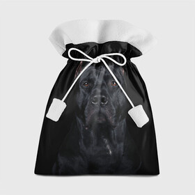 Подарочный 3D мешок с принтом Кане-корсо | собака в Белгороде, 100% полиэстер | Размер: 29*39 см | Тематика изображения на принте: dog | домашние животные | кане корсо | питбуль | собака | собаки