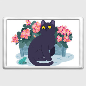 Магнит 45*70 с принтом Кот, лягушка и клумба в Белгороде, Пластик | Размер: 78*52 мм; Размер печати: 70*45 | Тематика изображения на принте: арт | клумба | космос | кот | котейка | кошка | лягушка | рисунок | розовые цветы | розовый цветок | цветы | чёрная кошка | чёрный кот