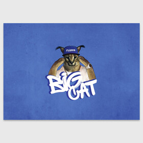 Поздравительная открытка с принтом Big Cat Floppa в Белгороде, 100% бумага | плотность бумаги 280 г/м2, матовая, на обратной стороне линовка и место для марки
 | flopa | floppa | большой | каракал | кот мем | мем с котом | русский кот | флопа | флоппа | шлёпа
