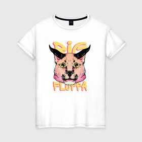 Женская футболка хлопок с принтом Big Cat  Floppa в Белгороде, 100% хлопок | прямой крой, круглый вырез горловины, длина до линии бедер, слегка спущенное плечо | flopa | floppa | каракал | кот мем | мем с котом | русский кот | шлёпа