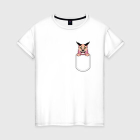 Женская футболка хлопок с принтом Шлёпа в кармане в Белгороде, 100% хлопок | прямой крой, круглый вырез горловины, длина до линии бедер, слегка спущенное плечо | flopa | floppa | каракал | кот мем | мем с котом | русский кот | шлёпа