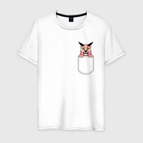 Мужская футболка хлопок с принтом Шлёпа в кармане в Белгороде, 100% хлопок | прямой крой, круглый вырез горловины, длина до линии бедер, слегка спущенное плечо. | flopa | floppa | каракал | кот мем | мем с котом | русский кот | шлёпа