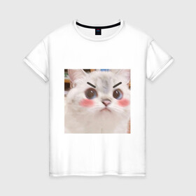 Женская футболка хлопок с принтом Котенька в Белгороде, 100% хлопок | прямой крой, круглый вырез горловины, длина до линии бедер, слегка спущенное плечо | kawaii | злой кот | комфорт | кот | мем | милый | уют