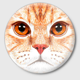 Значок с принтом Мур Мяу в Белгороде,  металл | круглая форма, металлическая застежка в виде булавки | cat | kitty | pussycat | киса | кот | кошечка | кошка