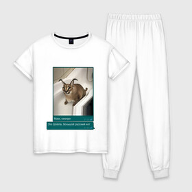 Женская пижама хлопок с принтом Шлёпа в Белгороде, 100% хлопок | брюки и футболка прямого кроя, без карманов, на брюках мягкая резинка на поясе и по низу штанин | каракал | кот | мемы | русский кот | рысь | шлёпа