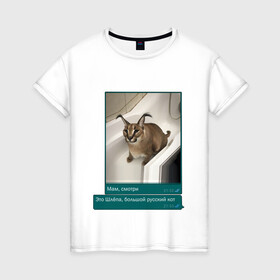 Женская футболка хлопок с принтом Шлёпа в Белгороде, 100% хлопок | прямой крой, круглый вырез горловины, длина до линии бедер, слегка спущенное плечо | каракал | кот | мемы | русский кот | рысь | шлёпа