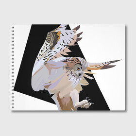 Альбом для рисования с принтом Сова в деле в Белгороде, 100% бумага
 | матовая бумага, плотность 200 мг. | Тематика изображения на принте: арт | дикие животные | дикие звери | дикие птицы | животное | животные | лягушка | охота | природа | птица | птицы | рисунок | сова