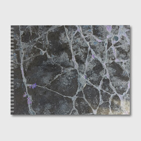 Альбом для рисования с принтом Лунный камень в Белгороде, 100% бумага
 | матовая бумага, плотность 200 мг. | Тематика изображения на принте: art | бетон | булыжник | луна | текстура | трещина