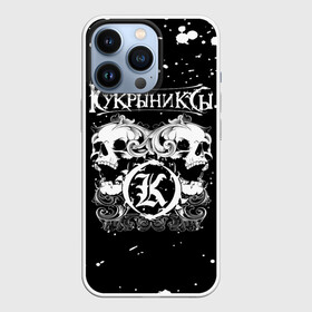 Чехол для iPhone 13 Pro с принтом Кукрыниксы черепа в Белгороде,  |  | gorshenev | kukryniksy | rock group | алексей горшенёв | альтернативный | вагон | горшенев | горшок | готик | дмитрий оганян | игорь воронов | кукрыниксы | михаил фомин | панк | панкрок | постпанк | рок группа