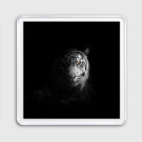 Магнит 55*55 с принтом БЕЛЫЙ ТИГР в Белгороде, Пластик | Размер: 65*65 мм; Размер печати: 55*55 мм | Тематика изображения на принте: animal | art | beast | cat | hunter | picture | power | strong | tiger | white | белый | благородный | гордый | дикие | животные | звери | кошки | охотник | тигр | хищник | царь