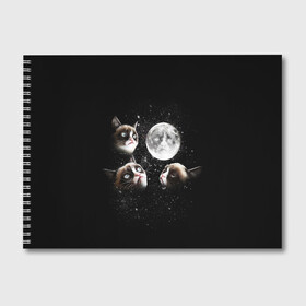 Альбом для рисования с принтом ГРУСТНЫЕ ЛУННЫЕ КОТЫ в Белгороде, 100% бумага
 | матовая бумага, плотность 200 мг. | Тематика изображения на принте: cat | cosmo | face | memes | night | sky | stars | голова | звезды | интернет | космос | коты | кошки | лицо | луна | мем | ночь | отражение | прикол | рисунок