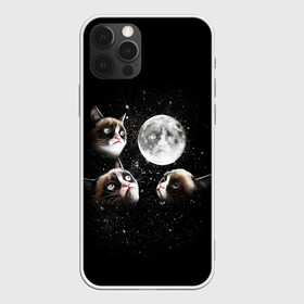 Чехол для iPhone 12 Pro с принтом ГРУСТНЫЕ ЛУННЫЕ КОТЫ в Белгороде, силикон | область печати: задняя сторона чехла, без боковых панелей | cat | cosmo | face | memes | night | sky | stars | голова | звезды | интернет | космос | коты | кошки | лицо | луна | мем | ночь | отражение | прикол | рисунок