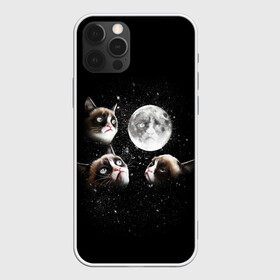 Чехол для iPhone 12 Pro Max с принтом ГРУСТНЫЕ ЛУННЫЕ КОТЫ в Белгороде, Силикон |  | cat | cosmo | face | memes | night | sky | stars | голова | звезды | интернет | космос | коты | кошки | лицо | луна | мем | ночь | отражение | прикол | рисунок