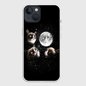 Чехол для iPhone 13 с принтом ГРУСТНЫЕ ЛУННЫЕ КОТЫ в Белгороде,  |  | Тематика изображения на принте: cat | cosmo | face | memes | night | sky | stars | голова | звезды | интернет | космос | коты | кошки | лицо | луна | мем | ночь | отражение | прикол | рисунок