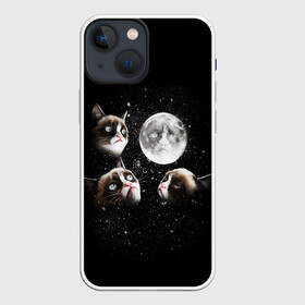 Чехол для iPhone 13 mini с принтом ГРУСТНЫЕ ЛУННЫЕ КОТЫ в Белгороде,  |  | Тематика изображения на принте: cat | cosmo | face | memes | night | sky | stars | голова | звезды | интернет | космос | коты | кошки | лицо | луна | мем | ночь | отражение | прикол | рисунок