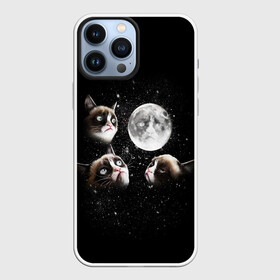 Чехол для iPhone 13 Pro Max с принтом ГРУСТНЫЕ ЛУННЫЕ КОТЫ в Белгороде,  |  | Тематика изображения на принте: cat | cosmo | face | memes | night | sky | stars | голова | звезды | интернет | космос | коты | кошки | лицо | луна | мем | ночь | отражение | прикол | рисунок