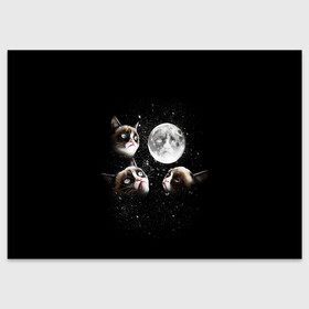 Поздравительная открытка с принтом ГРУСТНЫЕ ЛУННЫЕ КОТЫ в Белгороде, 100% бумага | плотность бумаги 280 г/м2, матовая, на обратной стороне линовка и место для марки
 | Тематика изображения на принте: cat | cosmo | face | memes | night | sky | stars | голова | звезды | интернет | космос | коты | кошки | лицо | луна | мем | ночь | отражение | прикол | рисунок
